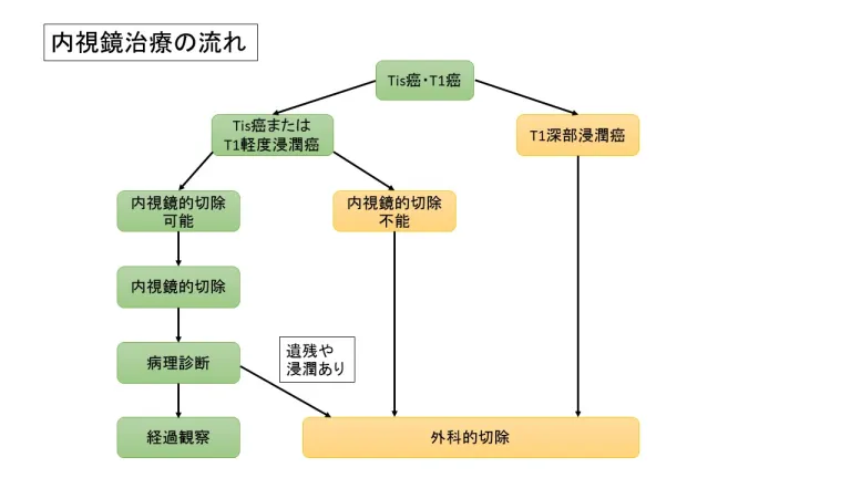 内視鏡治療の流れ