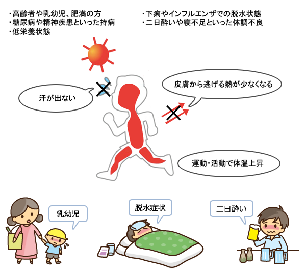 熱中症を引き起こす要因：からだの図解
