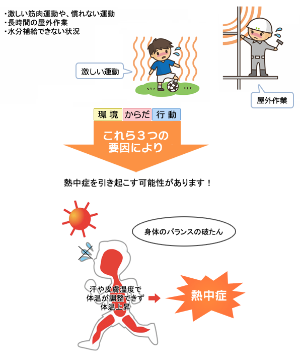 熱中症を引き起こす要因：行動の図解