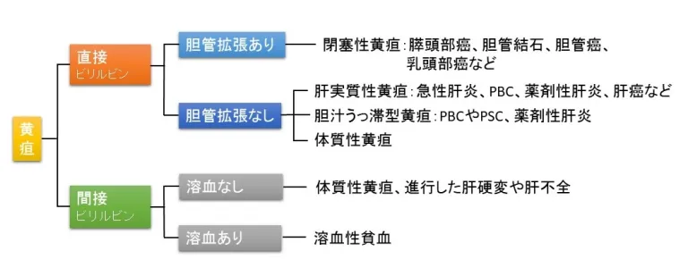 黄疸の鑑別